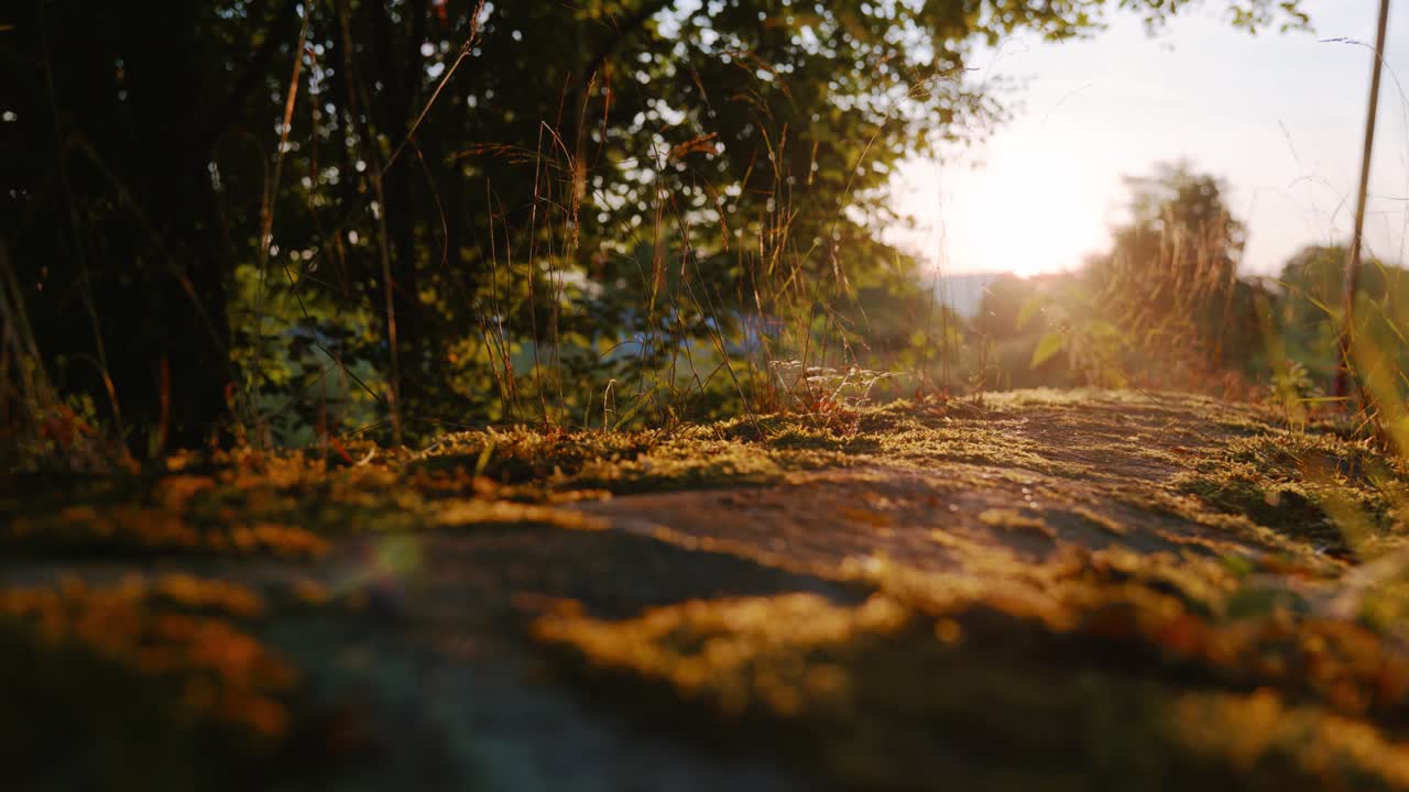 niclas dreier 크리에이티브의 4k 스톡 푸티지