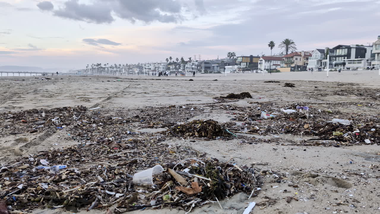 Trash lining Manhattan Beach on California's coastline