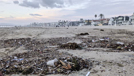 trash lining manhattan beach on california's coastline