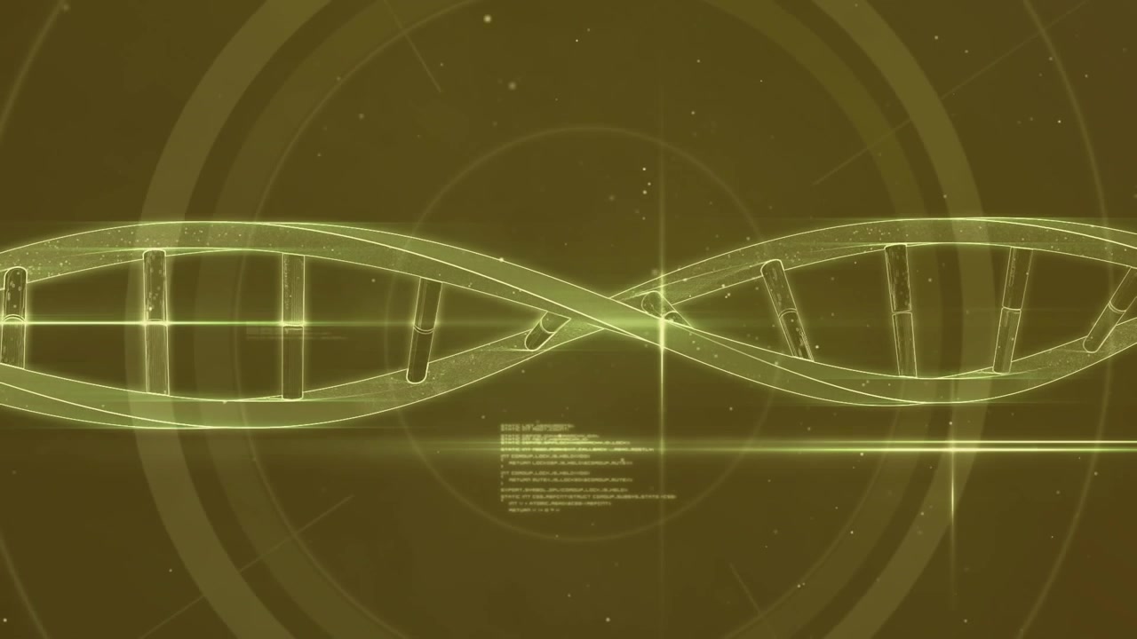 Animation de statistiques et de traitement de données sur un paysage urbain