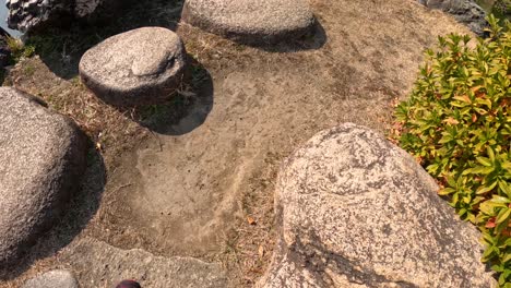 person walking over stepping stones in a serene garden