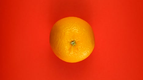 one orange is rotating on red.