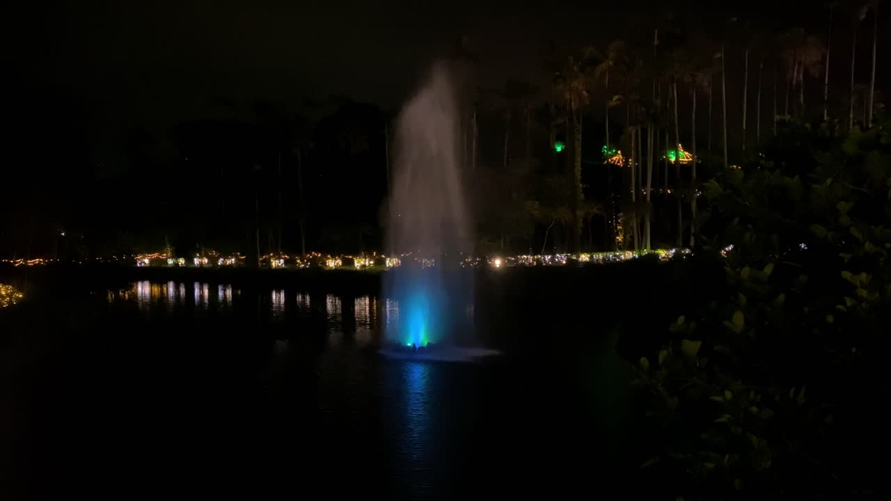 4khd 크리스마스 2020 식물원 오키나와 일본-27