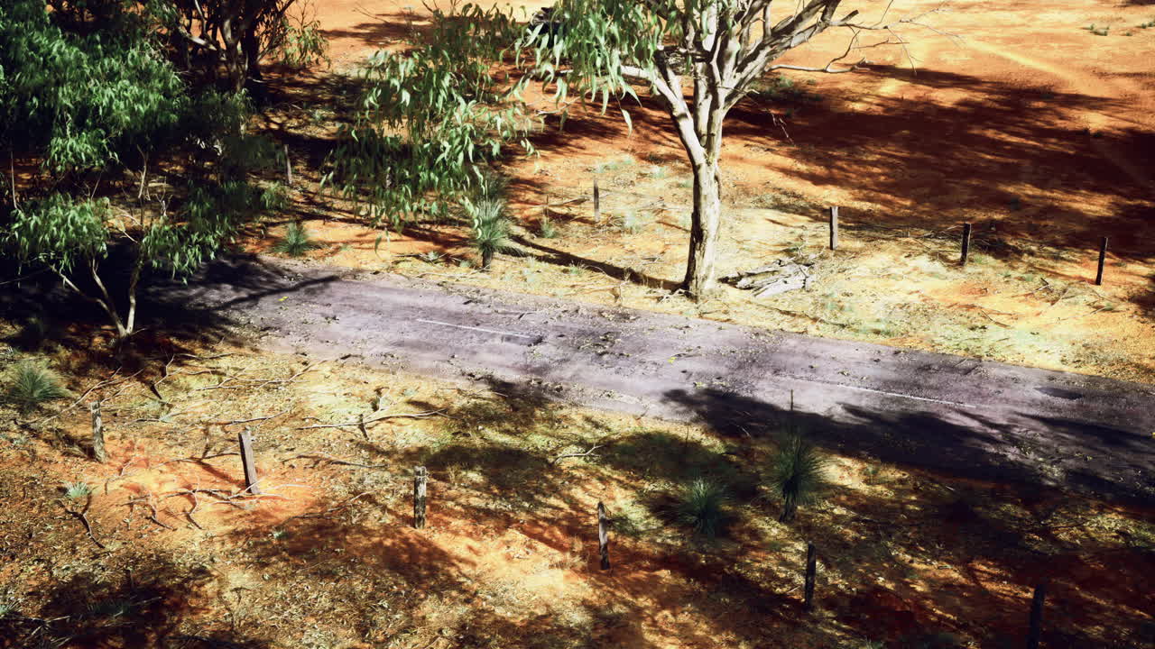 Nature path surrounded by trees and dry landscape in australia