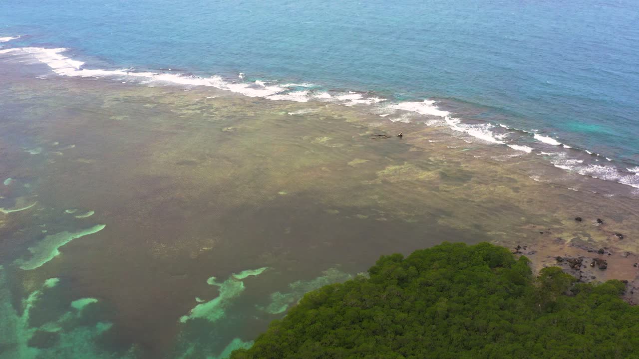 Inquadratura aerea in discesa sopra le acque turchesi e smeraldo dell'oceano della barriera corallina dell'isola costiera di Panama.