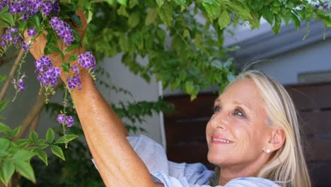 disabled woman plucking flowers from plant in the porch 4k