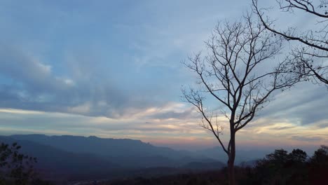 Static-shot-of-lone-silhouette-tree-blowing-in-wind-with-beautiful-mountain-background