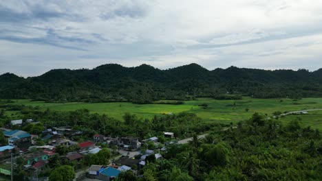 aerial of small tropical barangay village amongst lush rainforest, catanduanes, philippines