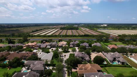 drone flies over sunny neighborhood lined with trees, rooftops, and parallel streets