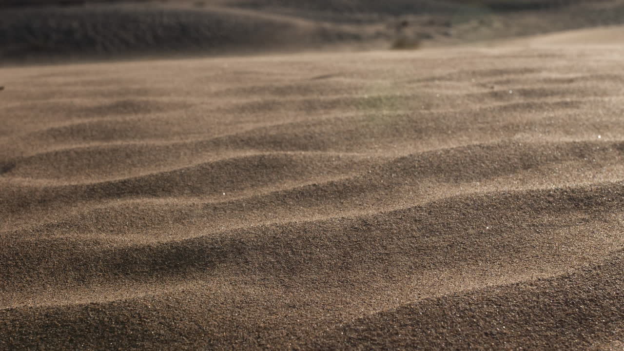 아랍 에미리트 에 있는 두바이 근처 의 중동 사막 풍경