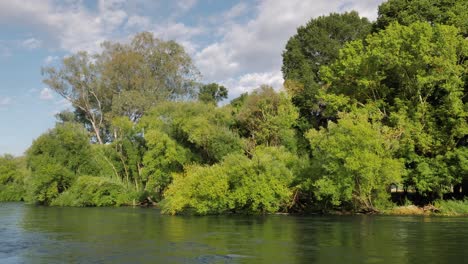 medium view of the tumut river with overhanging trees flowing strongly in the snowy mountain region of australia, new south wales.