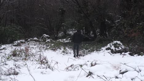 walking snowcapped forest