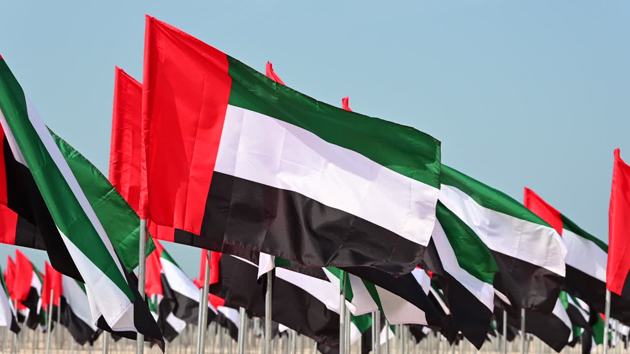 UAE flags are on display at the Flag Garden to celebrate UAE Flag Day, which is located at Jumeirah Public Beach in Dubai, United Arab Emirates