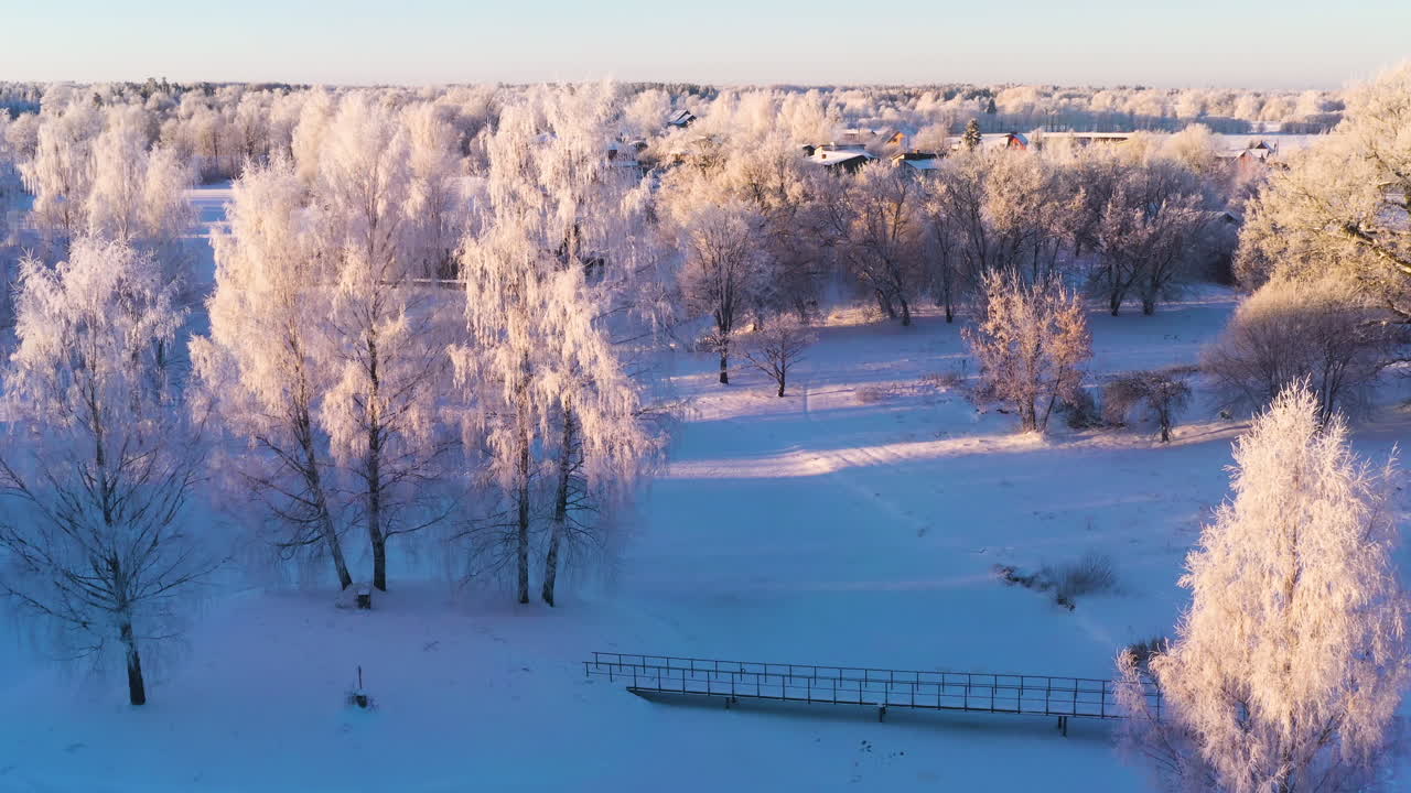 눈 덮인 독일 겨울의 조용하고 단순한 시골 숲
