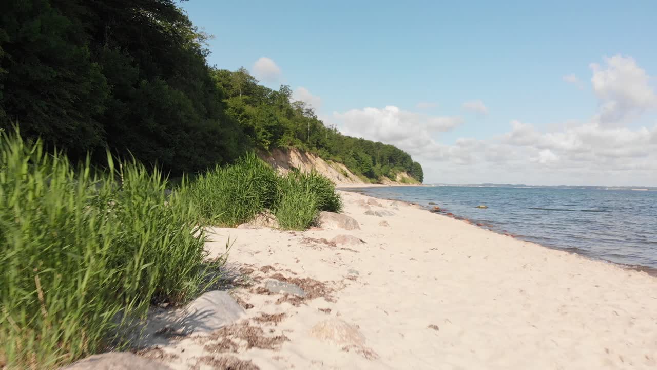 Serene Beach Landscape with Cliffs and Lush Greenery