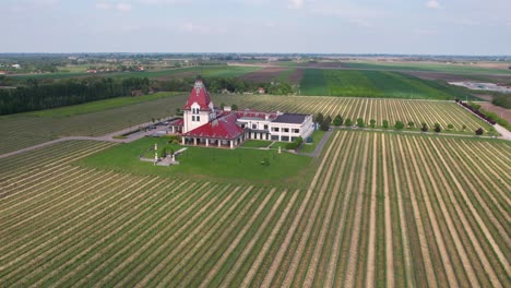 aerial view of winery building and vineyards in idyllic countryside landscape of palic, serbia