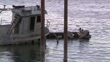 old half sunken ship in water