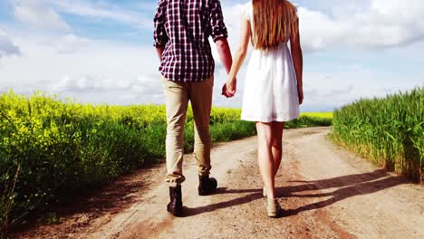 romantic couple holding hands while walking in field