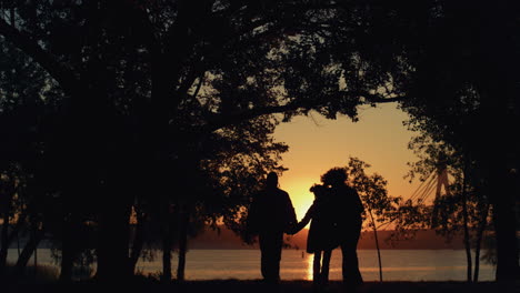 happy family silhouette walking sunset park together. beautiful golden sunlight.