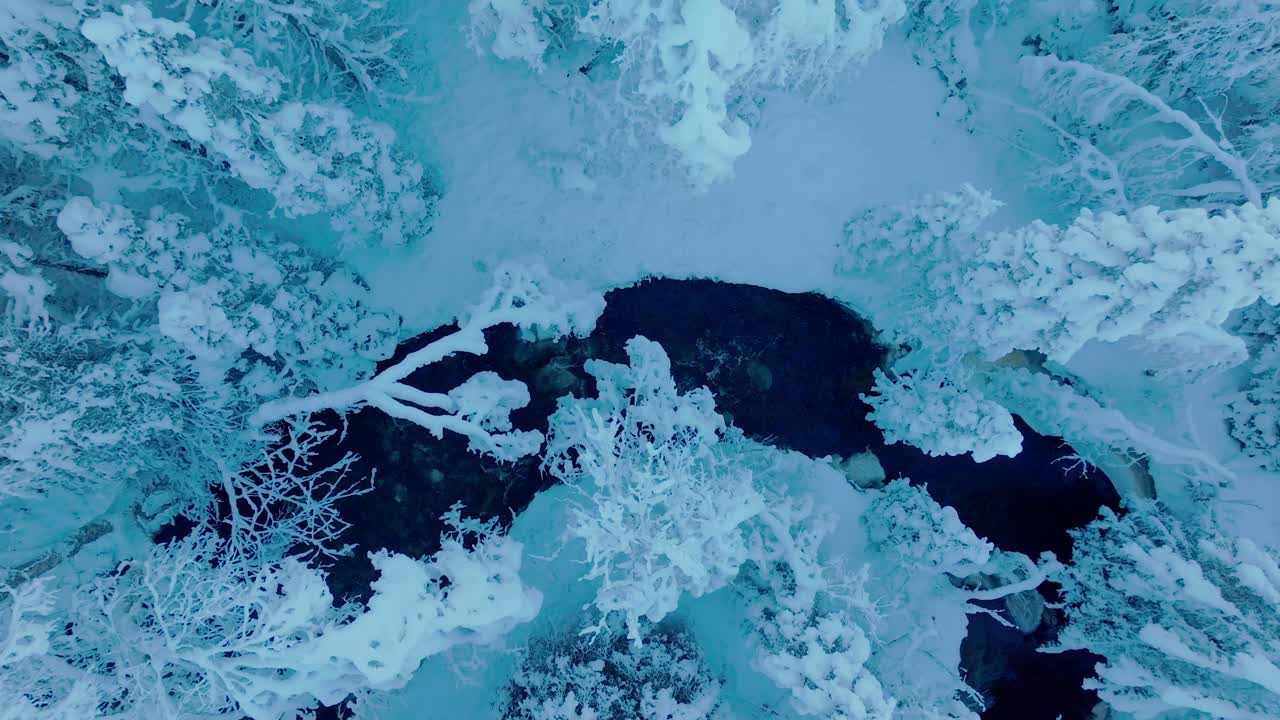 Ascending On An Extreme Winter Nature With River And Frozen Trees