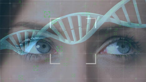 ojos y doble hélice de adn