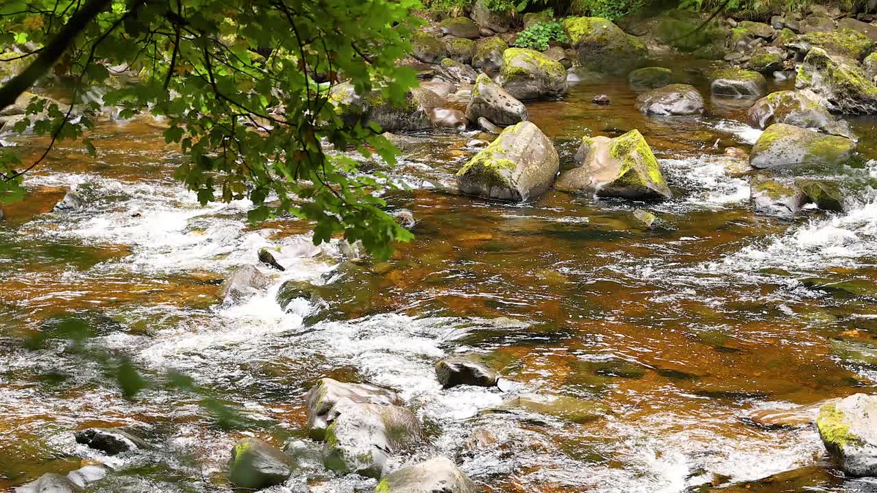 cascada que fluye a través de las rocas y la vegetación