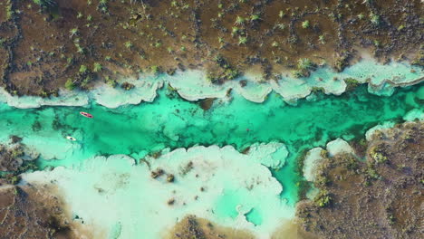 vista aérea a vista de pájaro de la laguna de bacalar, cenote de agua clara y gente nadando y haciendo kayak