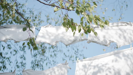 white mens boxers blowing in the wind on an outdoor washing line