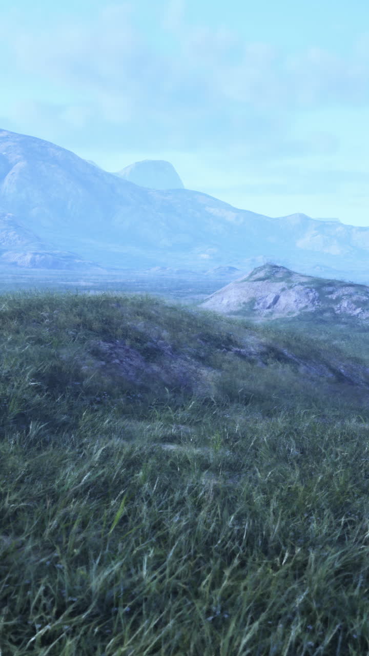 높은 풀과 멀리 있는 산이 있는 의 멋진 풍경