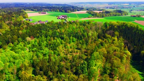 Vista-Aérea-De-Exuberantes-Bosques-Verdes-Y-Tierras-De-Cultivo-Con-Casas-De-Campo