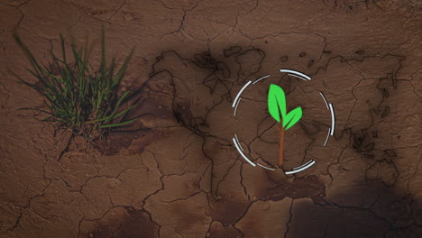 time-lapse of a animated plant icon and a world map on drying earth background