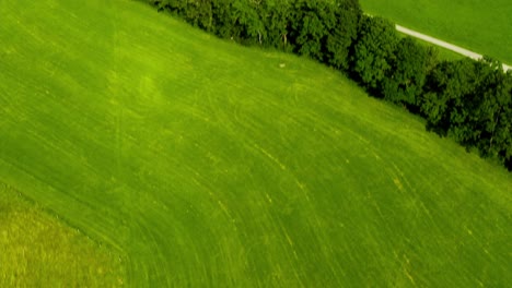 Tilt-up-aerial-shot-from-a-row-of-trees-up-to-the-southern-shore-in-Gmund-at-the-bavarian-Tegernsee-with-boats-and-hills