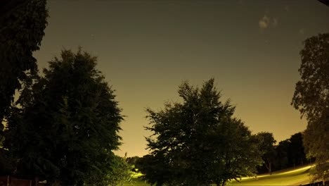 moonlit clouds pass over park trees as moon emerges from behind conifer during starry night