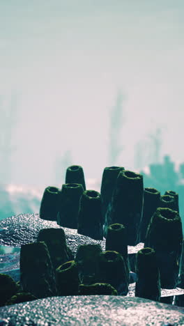 paisaje alienígena con niebla y formaciones extrañas
