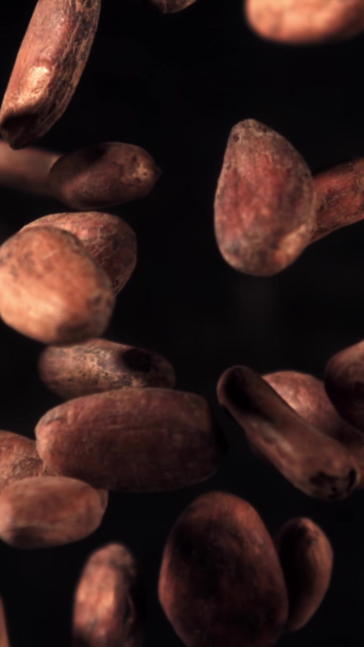 Raw Cacao Beans Falling in Slow Motion Against a Dark Background