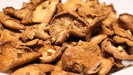dried mushrooms rotate in a circle in a white bowl dried mushrooms rotate in a circle in a white bowl close up of mushrooms rotation background vegetarian food