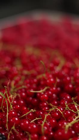las grosellas rojas y las moras
