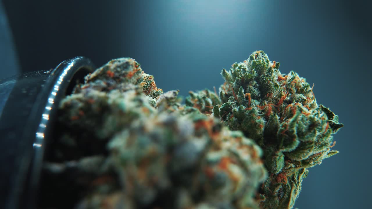 A vertical macro close-up cinematic shot of a cannabis plant, hybrid strains, Indica and sativa ,marijuana flower, on a 360 rotating stand in a shiny bowl, slow motion, 4K
