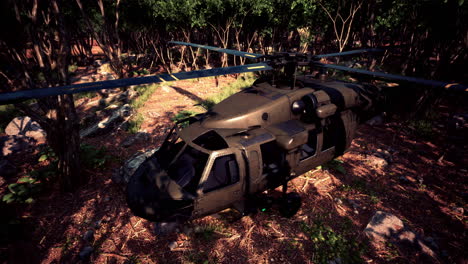 helicóptero militar en la selva profunda