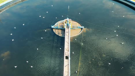 vista superior de un gran tanque de sedimentación circular con gaviotas flotando en él