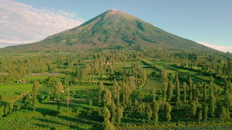 Vuelo-De-Drones-Sobre-Las-Plantaciones-De-Wonosobo-En-Java-Central-En-Indonesia-Con-El-Poderoso-Monte-Sindoro-En-El-Fondo