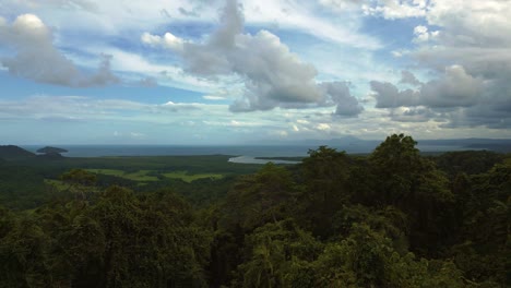 Daintree-Rainforest-Lookout,-Tropisches-Kap-Tribulation-Australien