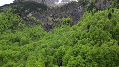 Paisaje-Sereno-De-Los-Alpes-Suizos-Adornado-Con-Un-Exuberante-Bosque-De-Coníferas-Verde