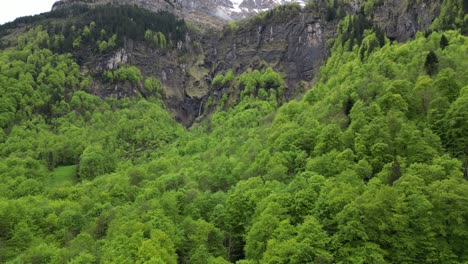 paisaje sereno de los alpes suizos adornado con un exuberante bosque de coníferas verdes