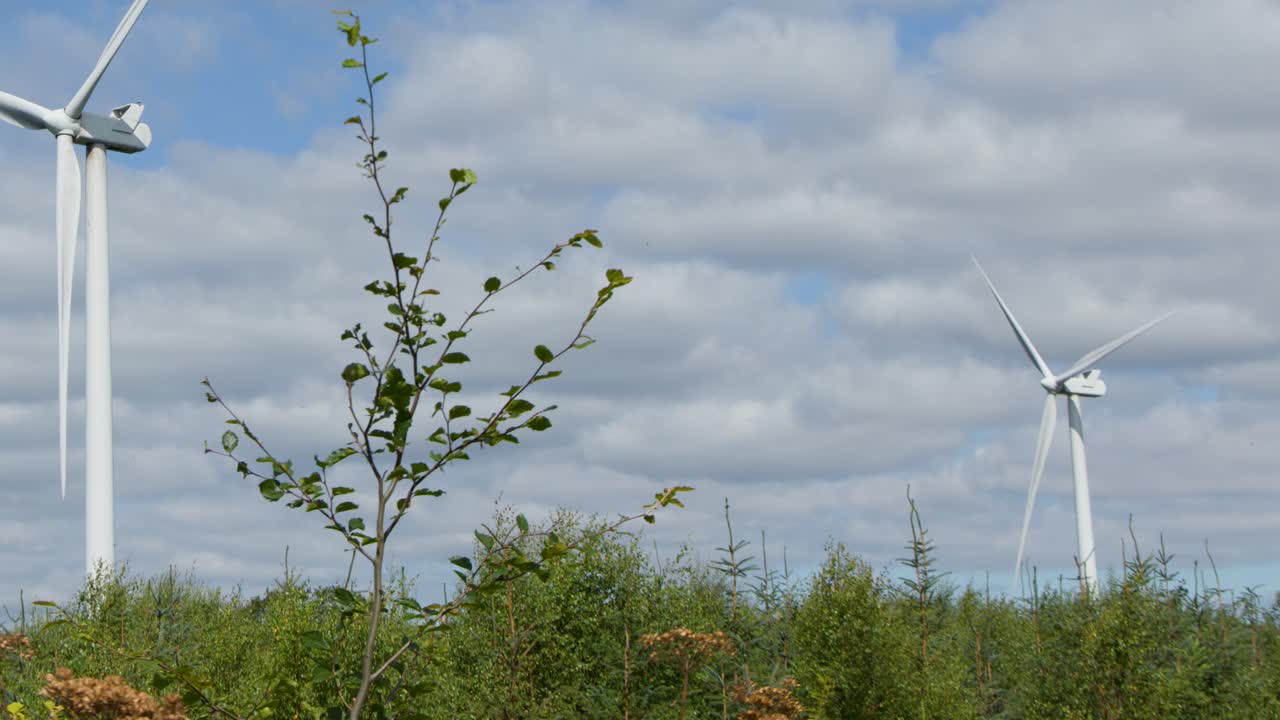 Large wind turbines spin slowly above green vegetation under cloudy daylight in rural Highlands