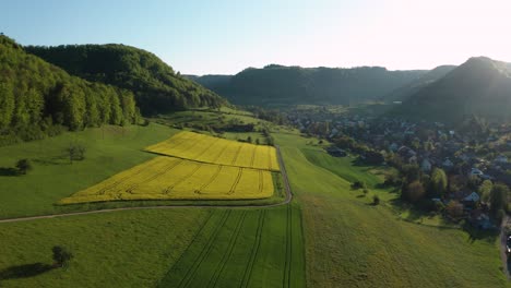 Vista-Aérea-Del-Campo-Durante-La-Hora-Dorada-Con-Flores-Amarillas-En-Un-Pequeño-Pueblo,-Campo-De-Colza-En-Flor,-Tiempo-De-Primavera-En-El-Campo-Suiza