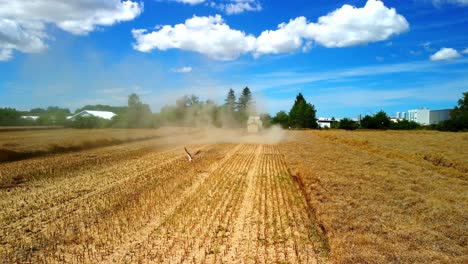 La-Cosechadora-Recoge-Trigo-En-El-Campo-Con-Cigüeña.