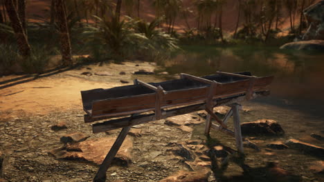 wooden trough by a desert river