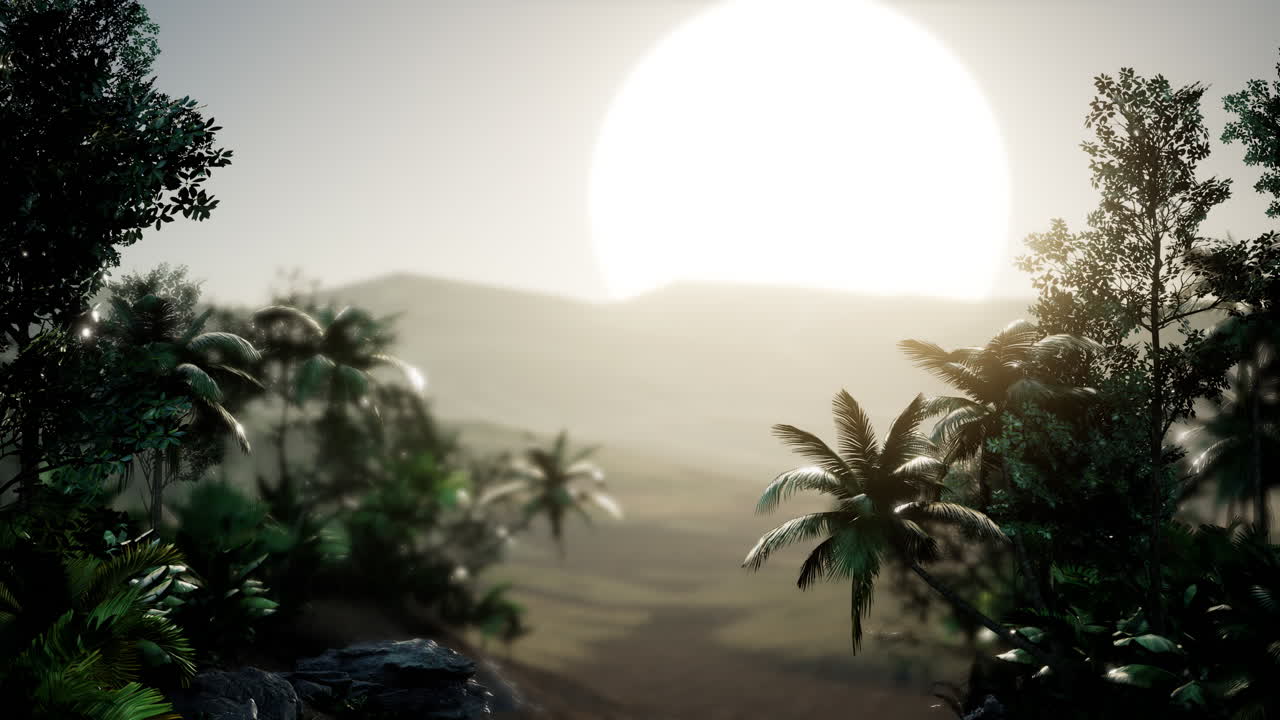 palmeras de coco paisaje tropical