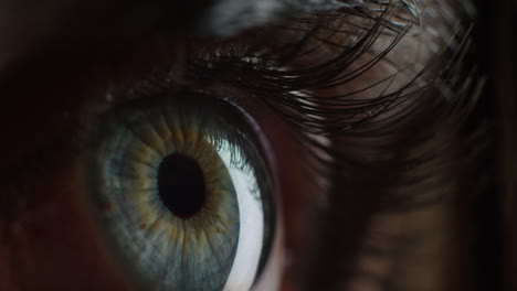 macro belleza ojo humano luz revelando el iris contrayéndose de cerca